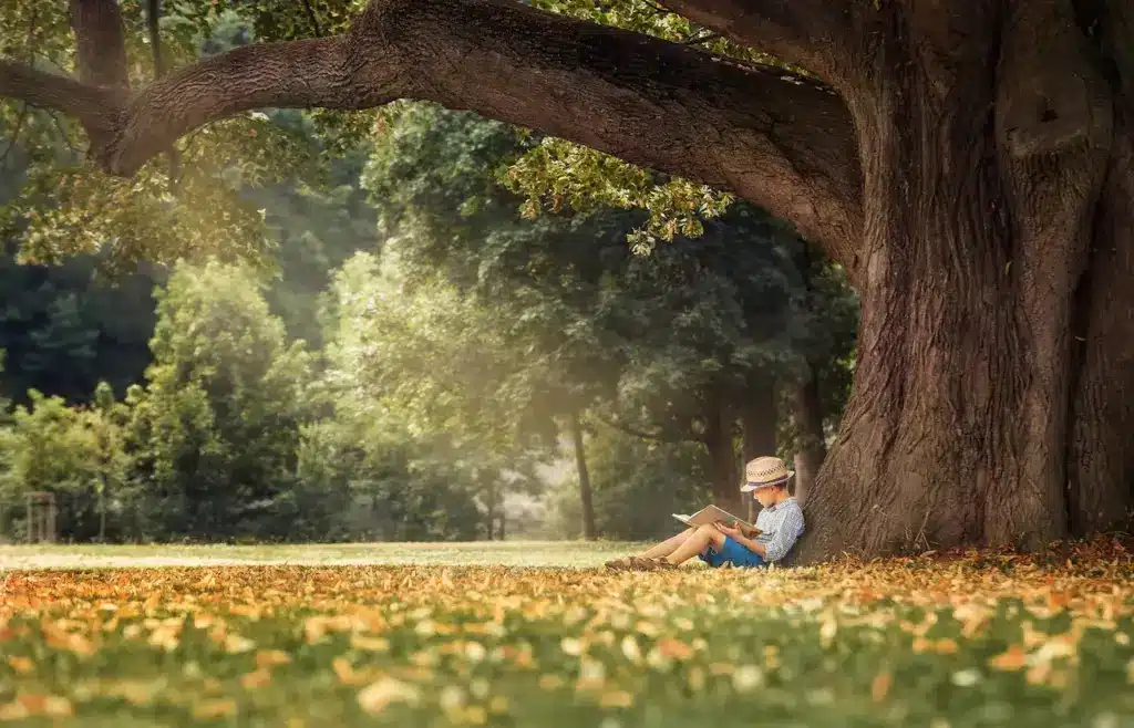 Discover New Places to Read, A Boy Reading A Book Under The Tree