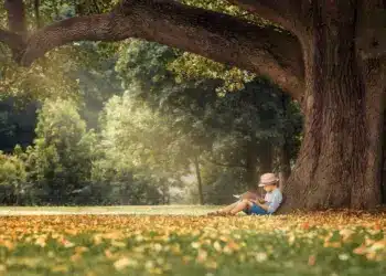 Discover New Places to Read, A Boy Reading A Book Under The Tree