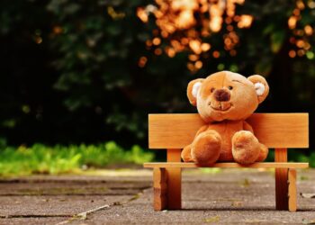 Brown Teddy bear sitting on a wooden chair.