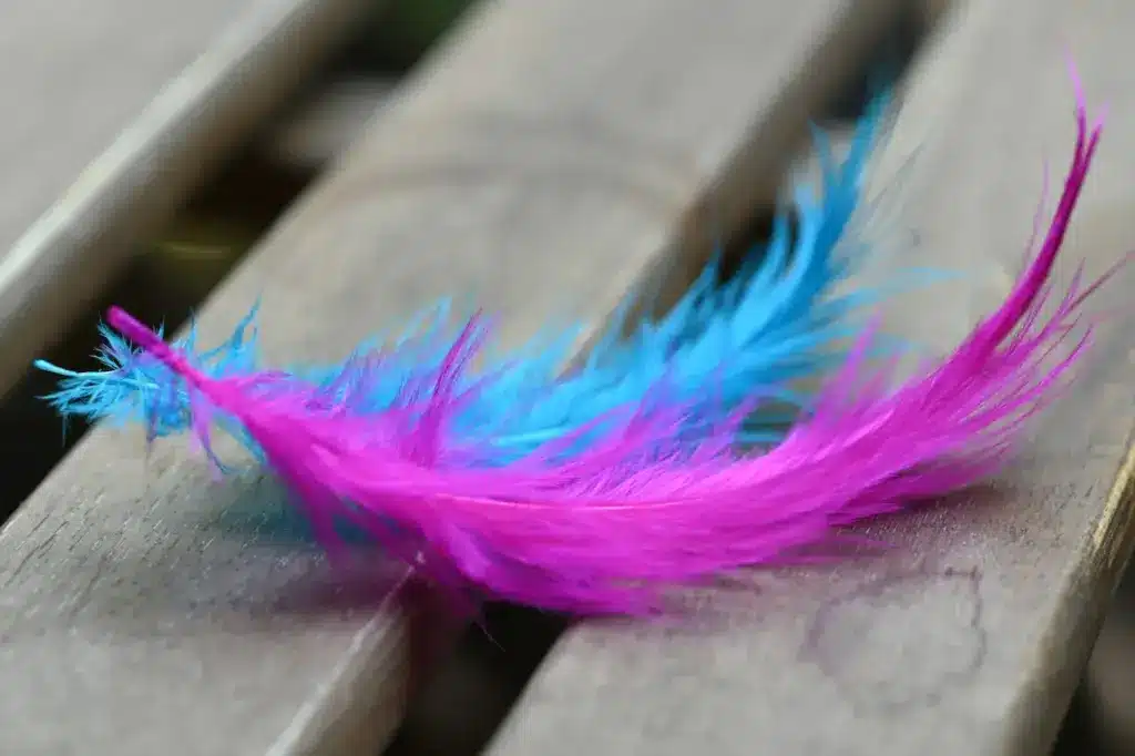 Feathers for Phoebe | A Story-time Workshop | Kids Domain